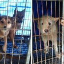 인수농장 이미지