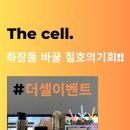 더셀주 이미지
