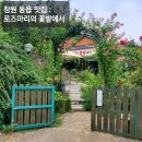 로즈마리의 꽃밭에서 이미지