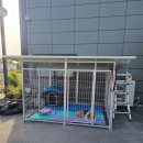 수왕초등학교 | 대형견사 , 어디에서도 볼수없는 특별한 실외견사 견주분 직접 설치 후기!!!!
