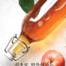 니체에게 배우는 인생 공부 이미지