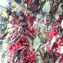 태일농장 이미지