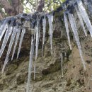 회남재길 이미지