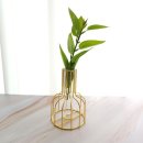 포레스타 이미지