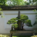 합천군청 이미지