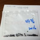 뽕뽕이약국 이미지