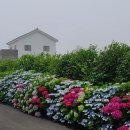 해거름길 이미지