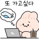 크로바펜션 이미지