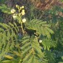 (주)투위 이미지