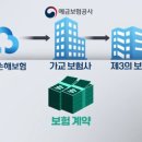 가교인력 이미지