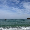 (주)알베로디자인 | 안목해변맛집 강릉이쁜카페 안목해변카페 안목해변이쁜카페 안목해변힙한카페 오션뷰카페 알베로 솔직후기