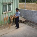 가을민박 이미지