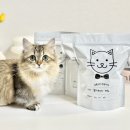 무릎냥이동동이네 - 김해시 장등로 15 | 강아지 사료통 대신 고양이 사료 대용량 보관법 무릎냥이동동이네 소분 봉투 용품 후기
