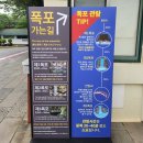 천제연화장실 | 제주도 서귀포 가볼만한곳 마노르블랑 수국축제/천제연폭포