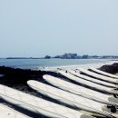 해비치호스텔 이미지