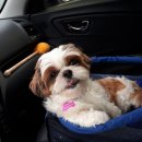 맡겨보개 이미지