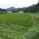 파평면 마산리 (답-생산-도로) 817평/22만원=1억8,000만원 이미지