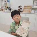 엘라 유치원 | [공지] 6세 아이와 함께한 향기 가득 천연비누 만들기 클래스💚 (아산 엘라렌공방)