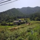 삼산면-1 이미지