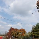 팽성레포츠공원 이미지