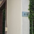 슈르르까2 | 단양 펜션 독채에 수영장까지 내돈내산 강추 후기, 슈르르까 펜션!