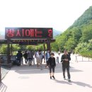 마귀할멈 지팡이 아이스크림 이미지