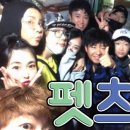 러브펫츠