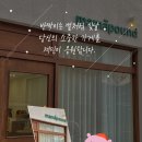 마마파운드 이미지