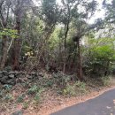 회수동-1 이미지