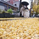 멀리가는 향기 이미지