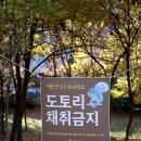 둔산아름다운사진 이미지