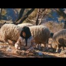 온정목장 이미지