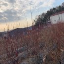 채움건축사사무소 이미지