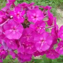 춘천호반체육관 이미지