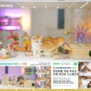 힐링캐터리 이미지