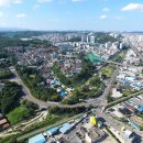 완도군청 가로수 이미지