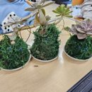 초포초등학교 이미지