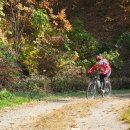 어림5길 이미지