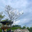 [부산 등산] 윤산 318m 등산 초보 최단코스 부곡암 출발 원점회귀 주차장 소요시간 후기