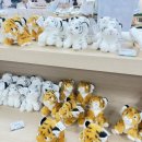 국립백두대간수목원 판매센터 이미지