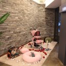 퍼피앤캣 이미지