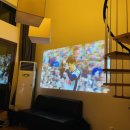 돌체펜션2 이미지