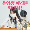 아이리스짐 - 13424 | 아이리스짐