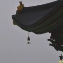 대광사 - 포항시 북구 죽도시장5길 4-3 | 대광사