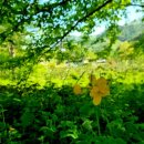 말구리농장 이미지