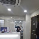 닥터강동물병원 | 울산 고양이 건강검진 항목/비용 닥터강 동물병원 내돈내산