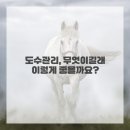 편안한방병원 이미지