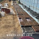 산불 조심 이미지