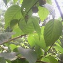 대한건재 이미지