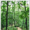 서리풀공원1-2 이미지